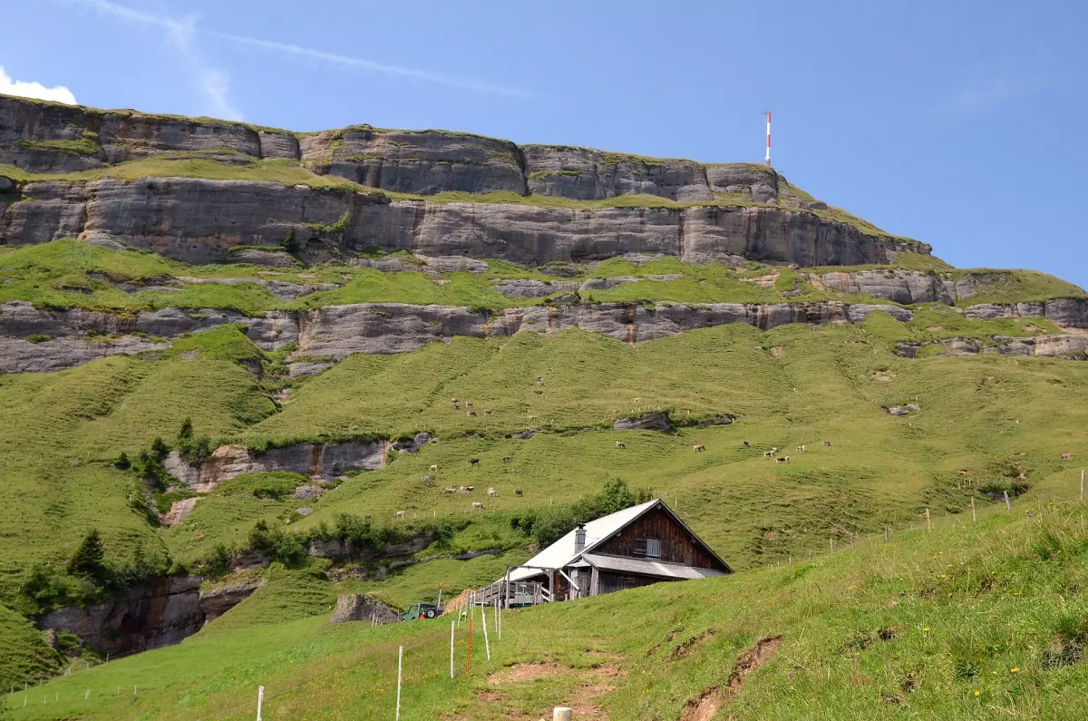 The green east slope below Rigi Kulm in summer
